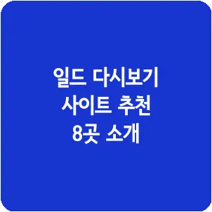 일드 다시보기 사이트 추천 8곳 소개