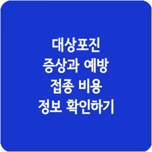 대상포진 증상과 예방 접종 비용 정보 확인하기
