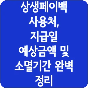 상생페이백 사용처, 지급일 예상금액 및 소멸기간 완벽 정리