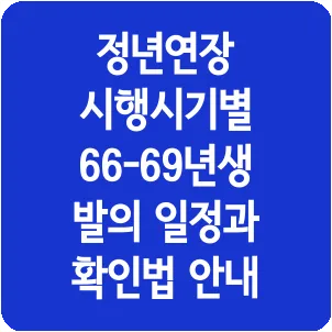 정년연장 시행시기별 66-69년생 발의 일정과 확인법 안내
