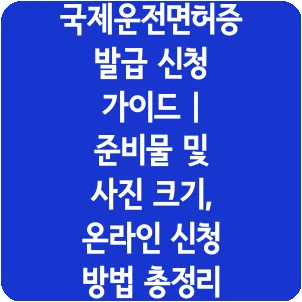 국제운전면허증 발급 신청 가이드 | 준비물 및 사진 크기, 온라인 신청 방법 총정리