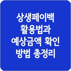 상생페이백 활용법과 예상금액 확인 방법 총정리