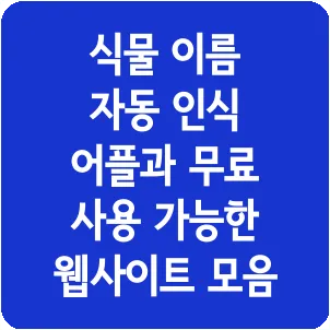 식물 이름 자동 인식 어플과 무료 사용 가능한 웹사이트 모음