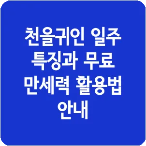 천을귀인 일주 특징과 무료 만세력 활용법 안내