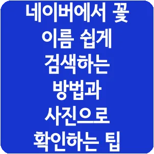 네이버에서 꽃 이름 쉽게 검색하는 방법과 사진으로 확인하는 팁