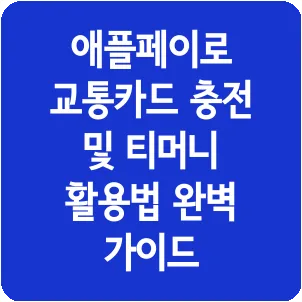 애플페이로 교통카드 충전 및 티머니 활용법 완벽 가이드