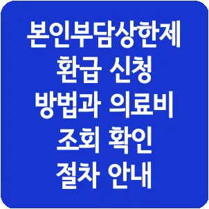 본인부담상한제 환급 신청 방법과 의료비 조회 확인 절차 안내