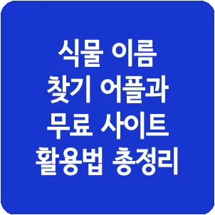 식물 이름 찾기 어플과 무료 사이트 활용법 총정리