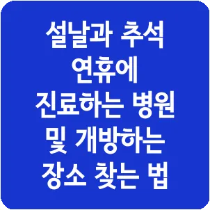 설날과 추석 연휴에 진료하는 병원 및 개방하는 장소 찾는 법