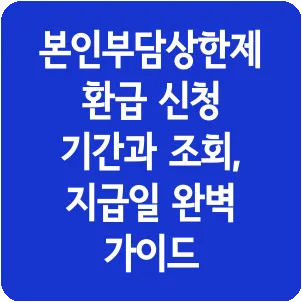 본인부담상한제 환급 신청 기간과 조회, 지급일 완벽 가이드