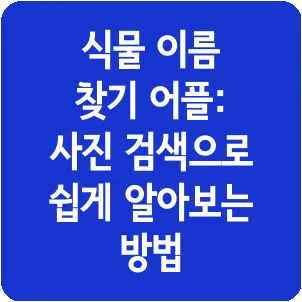 식물 이름 찾기 어플: 사진 검색으로 쉽게 알아보는 방법