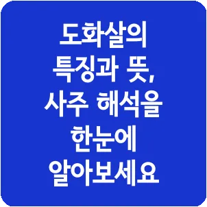 도화살의 특징과 뜻, 사주 해석을 한눈에 알아보세요