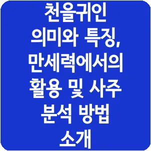 천을귀인 의미와 특징, 만세력에서의 활용 및 사주 분석 방법 소개