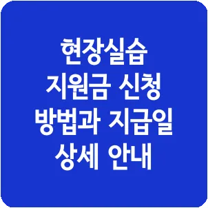 현장실습 지원금 신청 방법과 지급일 상세 안내