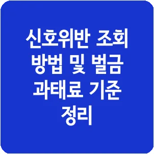 신호위반 조회 방법 및 벌금 과태료 기준 정리