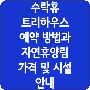 수락휴 트리하우스 예약 방법과 자연휴양림 가격 및 시설 안내