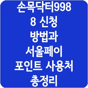 손목닥터9988 신청 방법과 서울페이 포인트 사용처 총정리
