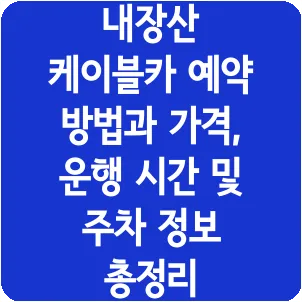 내장산 케이블카 예약 방법과 가격, 운행 시간 및 주차 정보 총정리