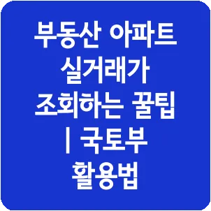 부동산 아파트 실거래가 조회하는 꿀팁 | 국토부 활용법