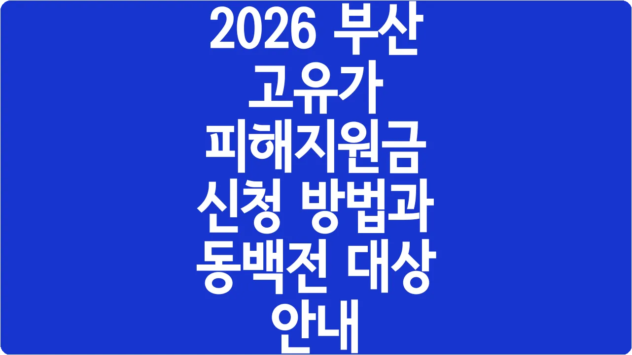 2026 부산 고유가 피해지원금 신청 방법과 동백전 대상 안내