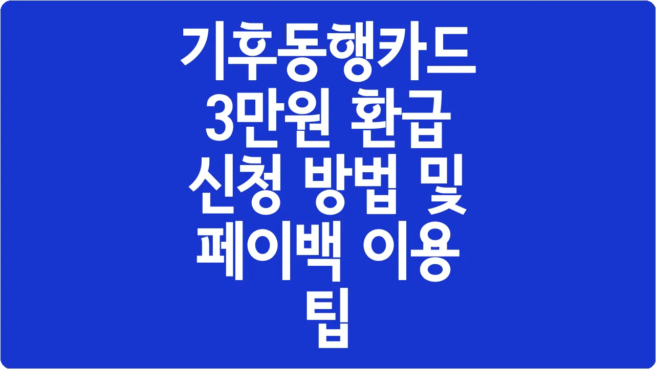 기후동행카드 3만원 환급 신청 방법 및 페이백 이용 팁