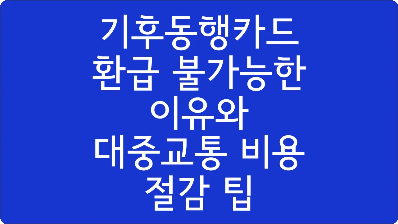 기후동행카드 환급 불가능한 이유와 대중교통 비용 절감 팁