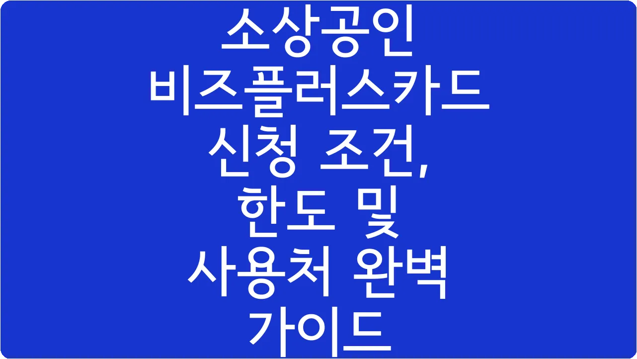 소상공인 비즈플러스카드 신청 조건, 한도 및 사용처 완벽 가이드